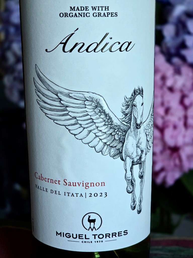 Chilean Cabernet Sauvignon episode artwork