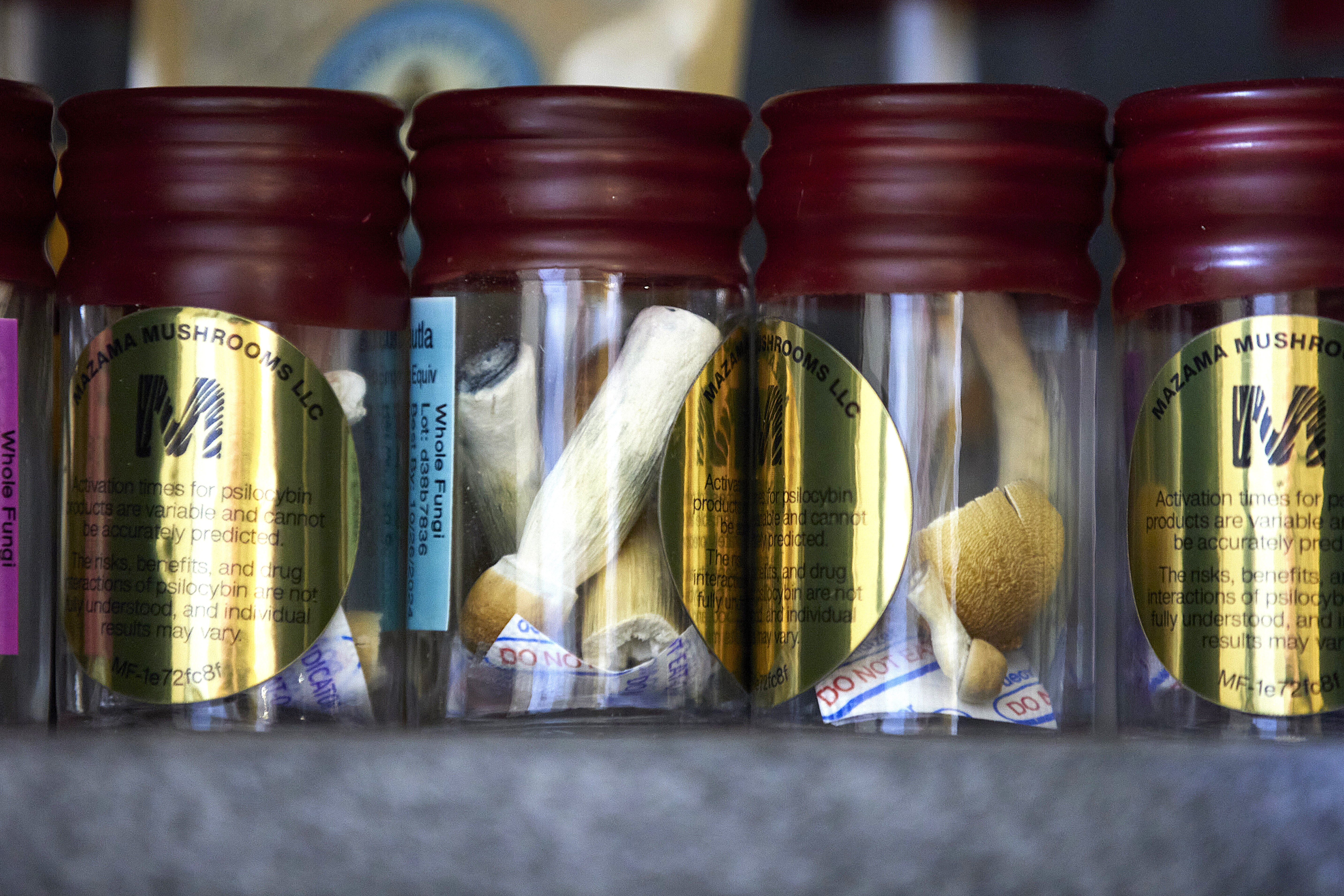 UMB hopes to educate public and professionals about psychedelic therapies episode artwork