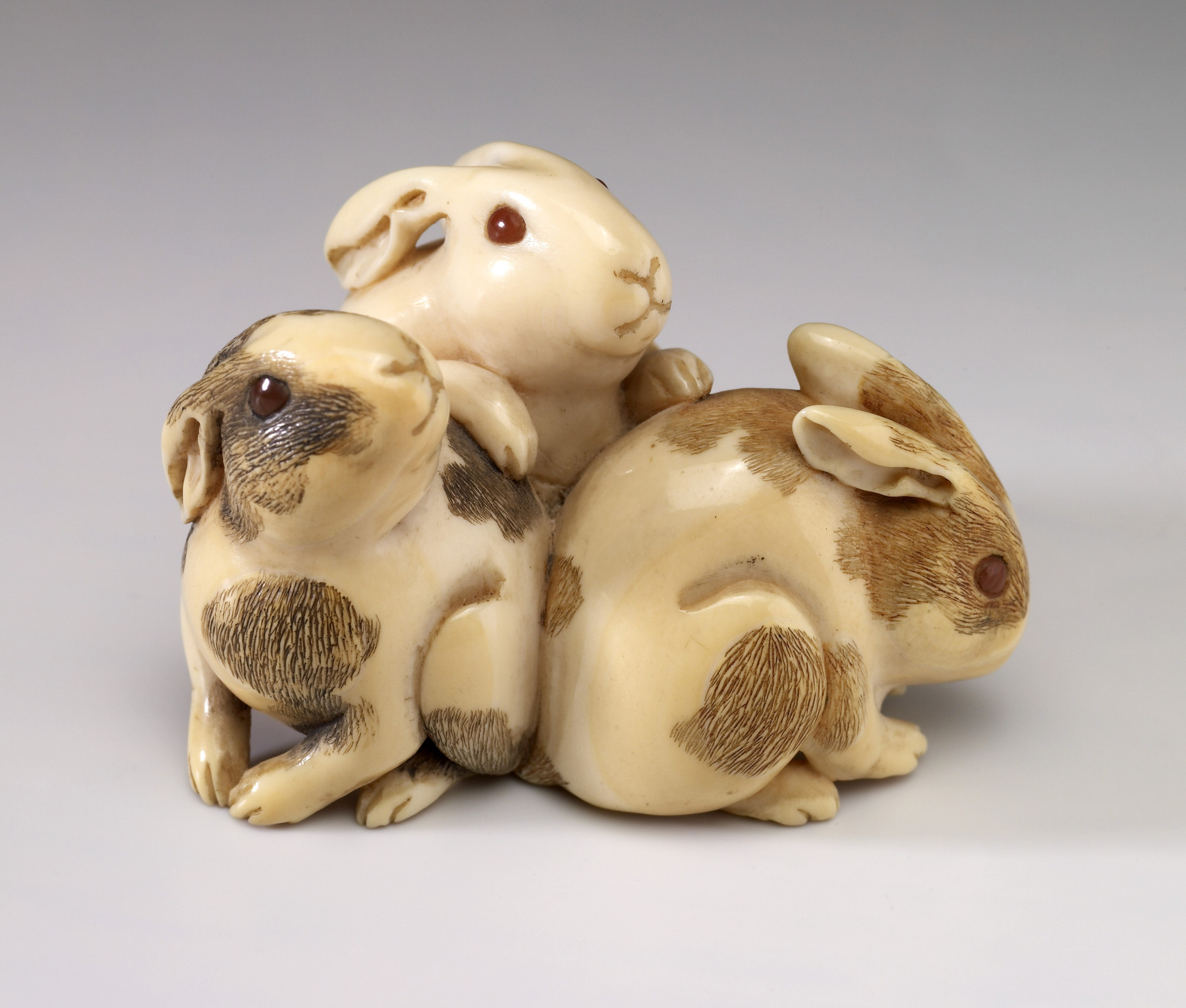 Walters Art Museum celebrates the Lunar New Year of the Snake episode artwork