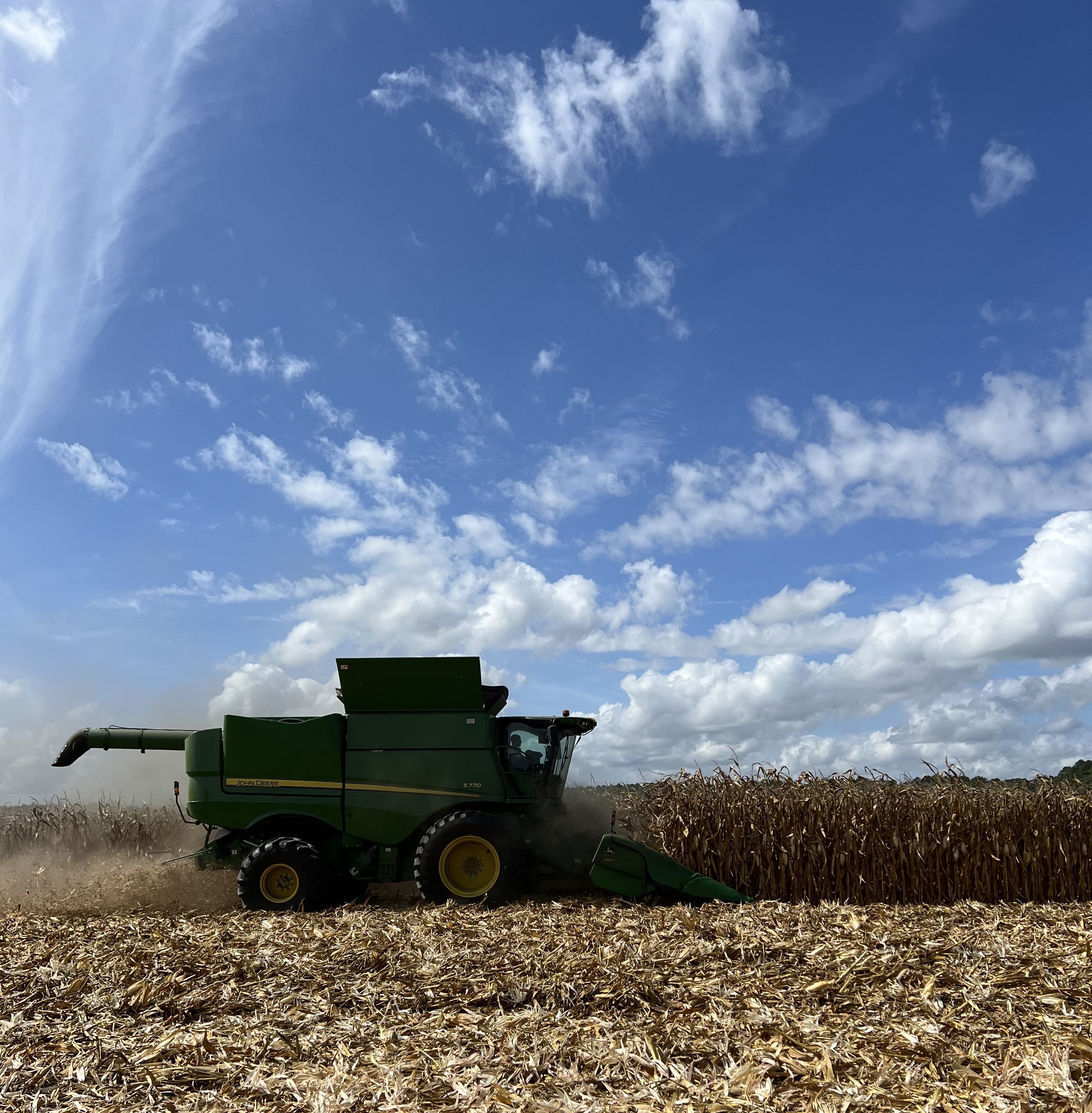 What's it like to farm on the Eastern Shore? episode artwork
