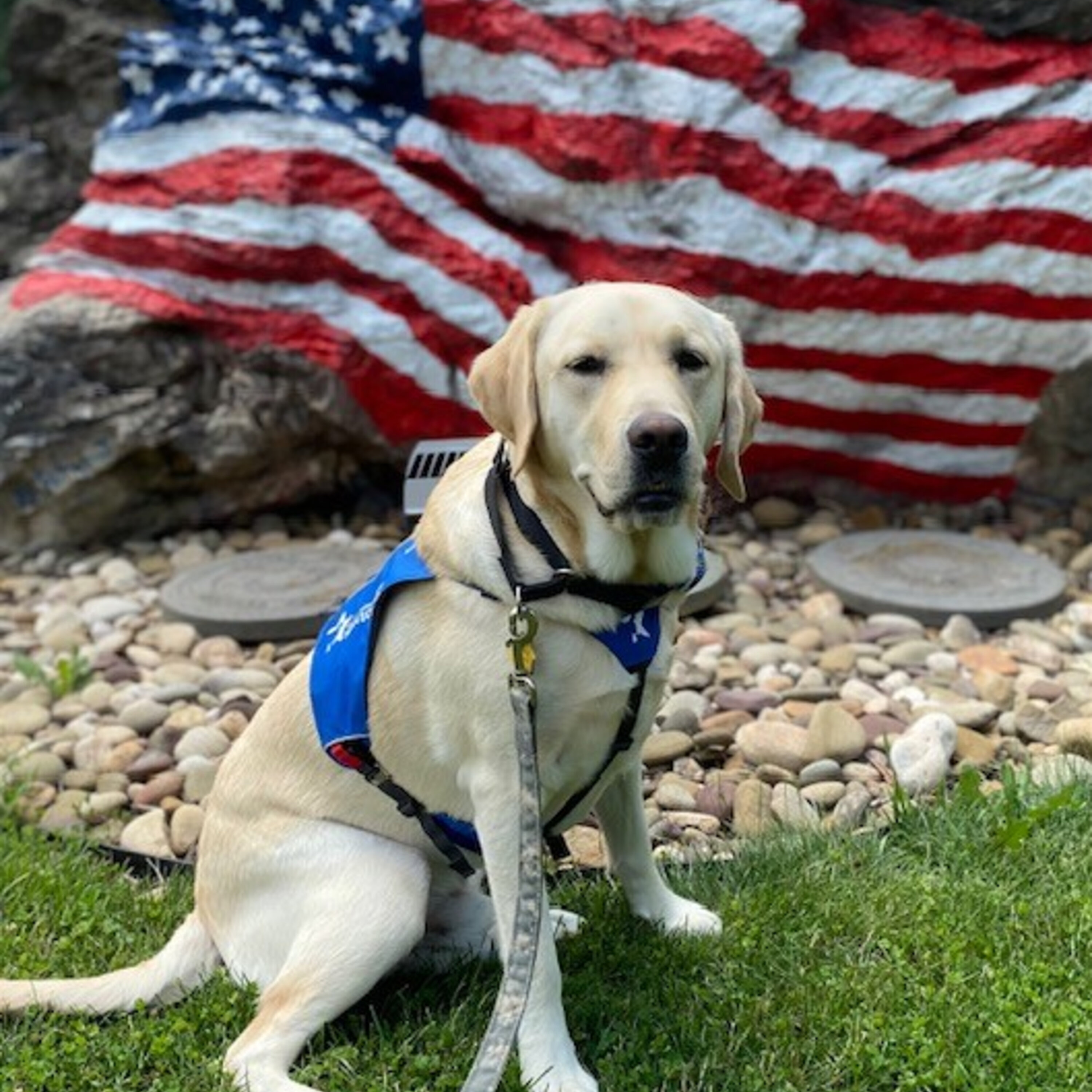 Maryland's veterans secretary on suicide prevention; Training service dogs for service members episode artwork