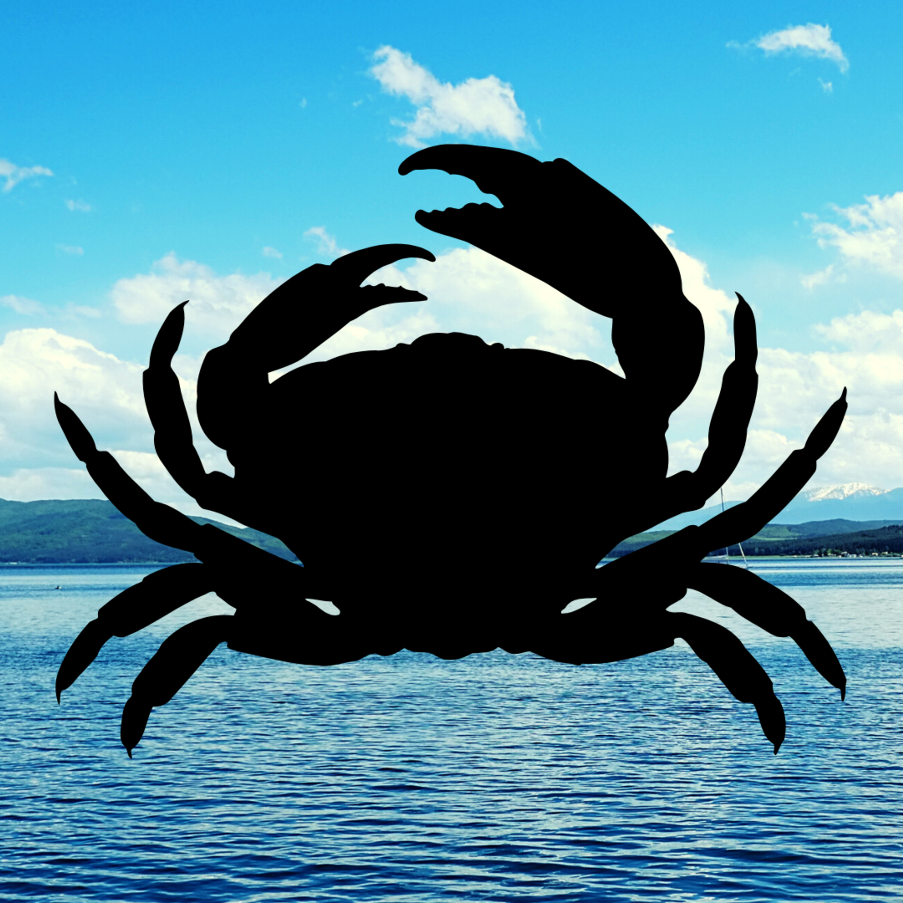 Scientists see slight improvement to Chesapeake Bay's health episode artwork