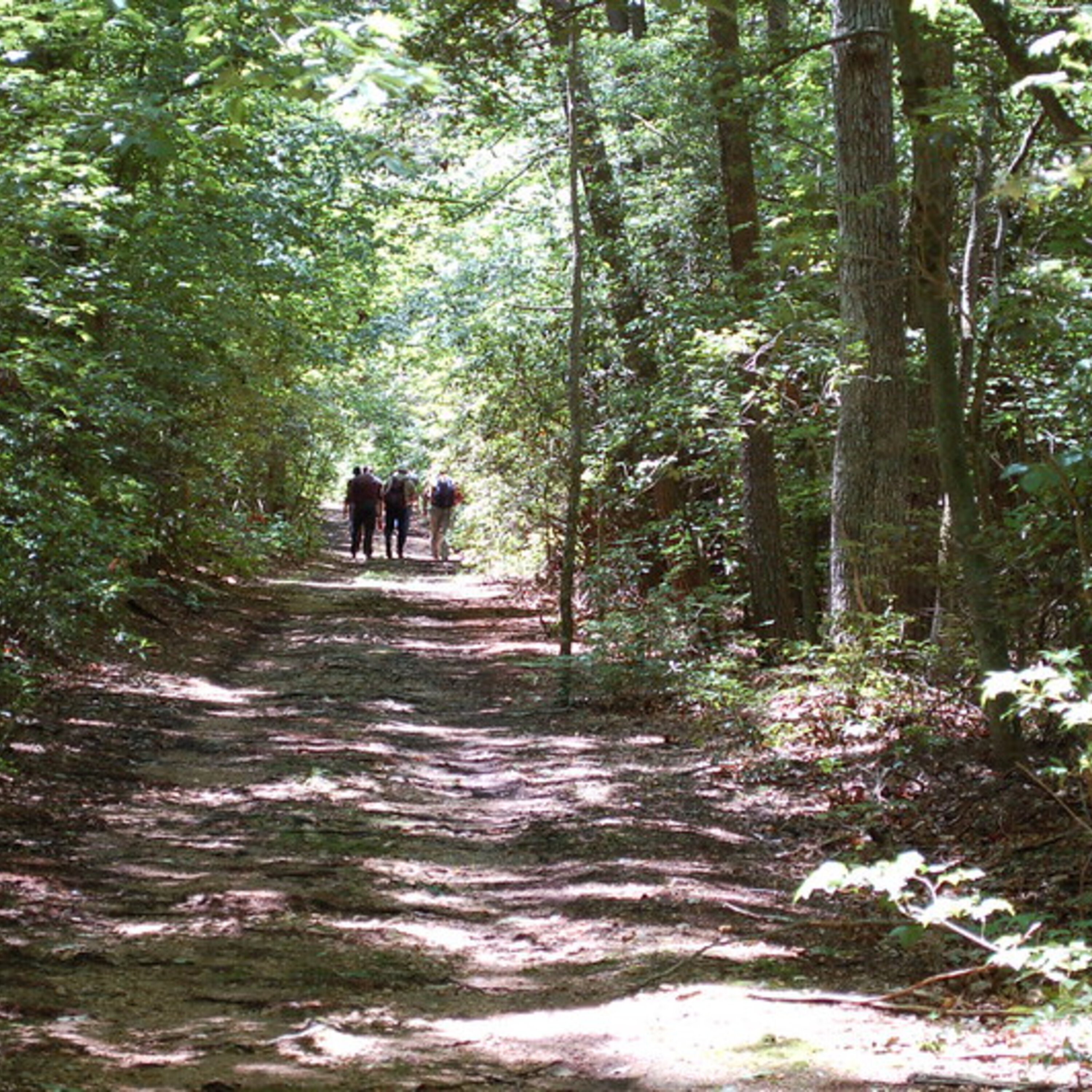 Commune in nature with Baltimore Queer Hike episode artwork
