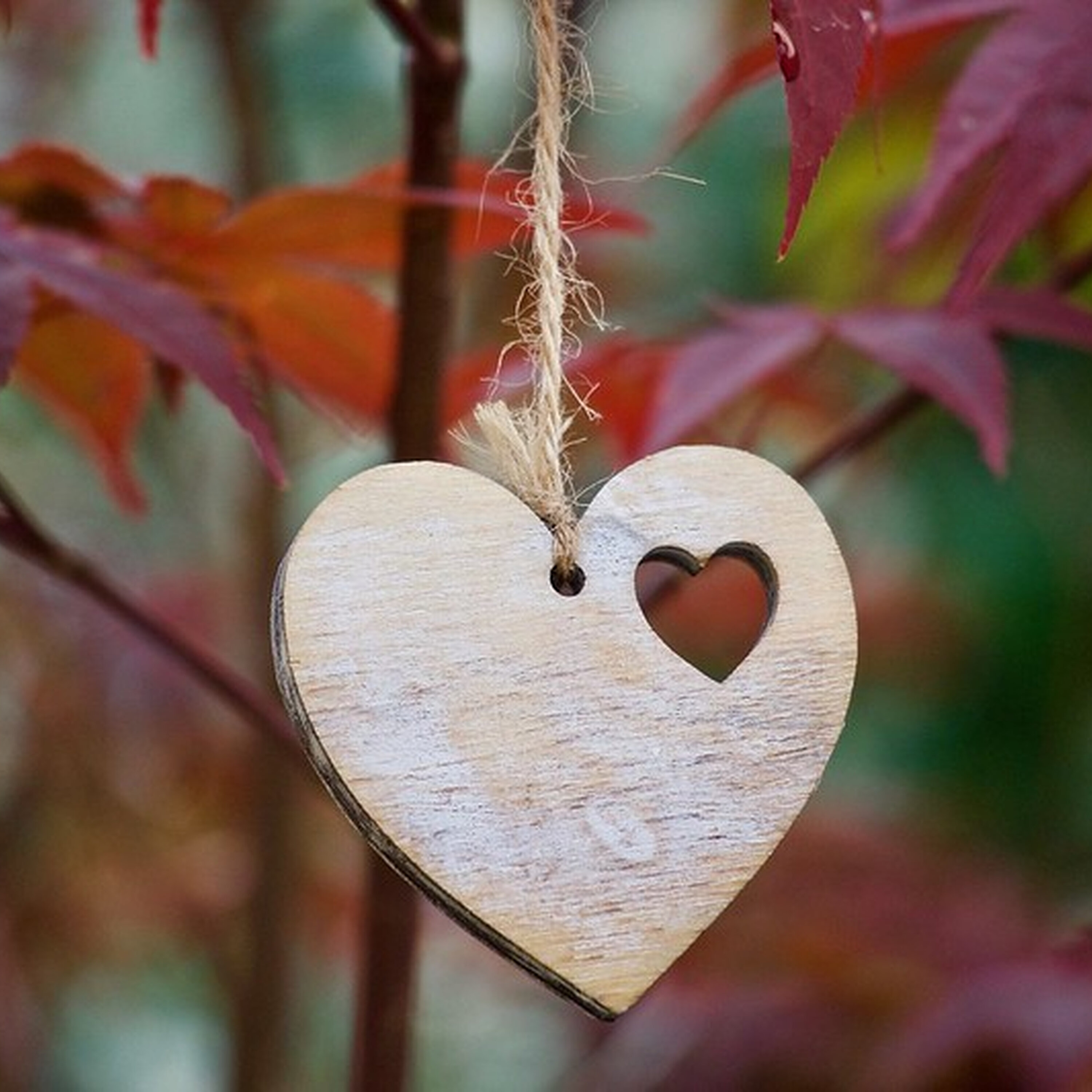 Preventing intimate partner violence and ending cycles of abuse episode artwork