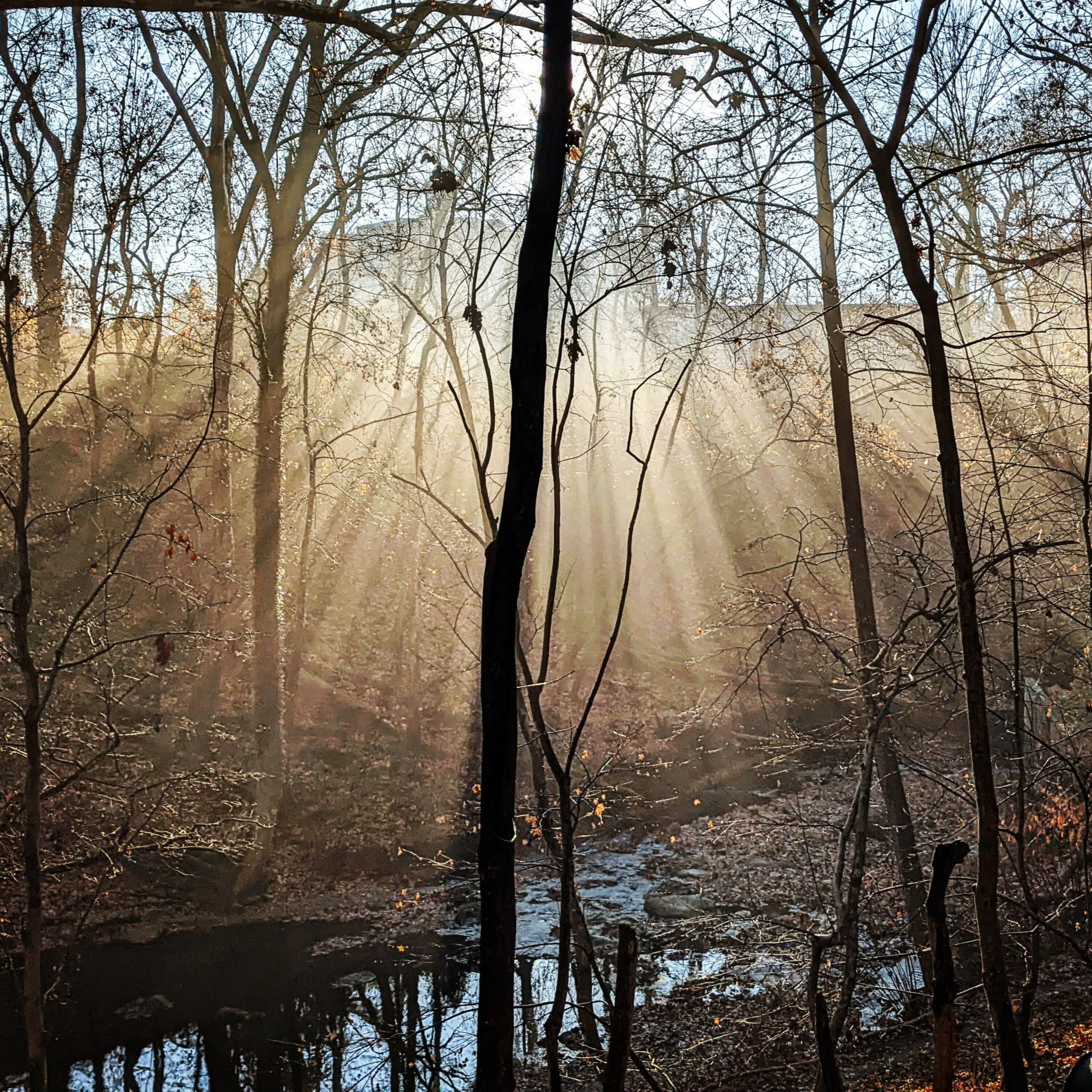 How do experiences of wonder and awe affect us? episode artwork