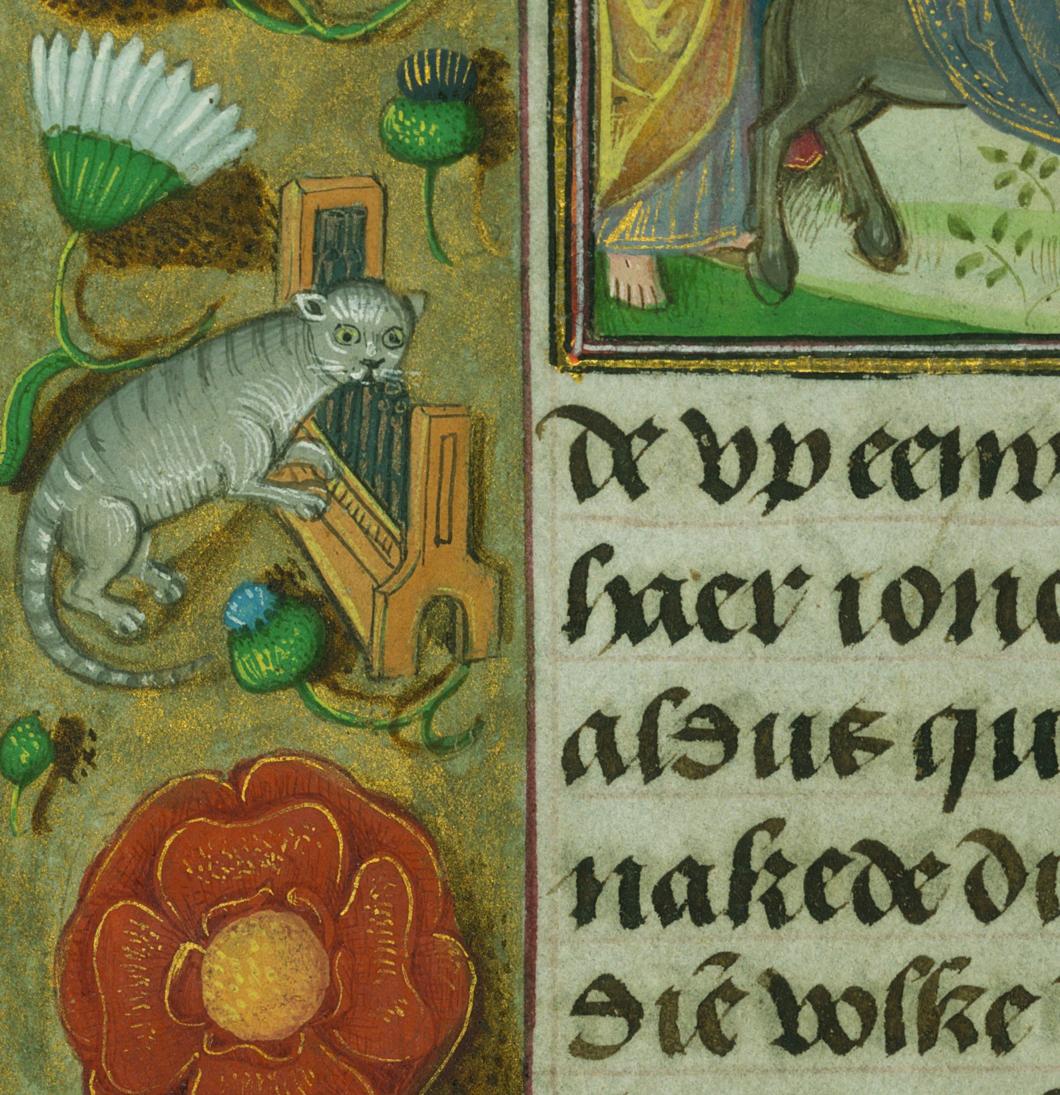 The Walters' 'Paws on Parchment' celebrates feline friends in medieval times episode artwork