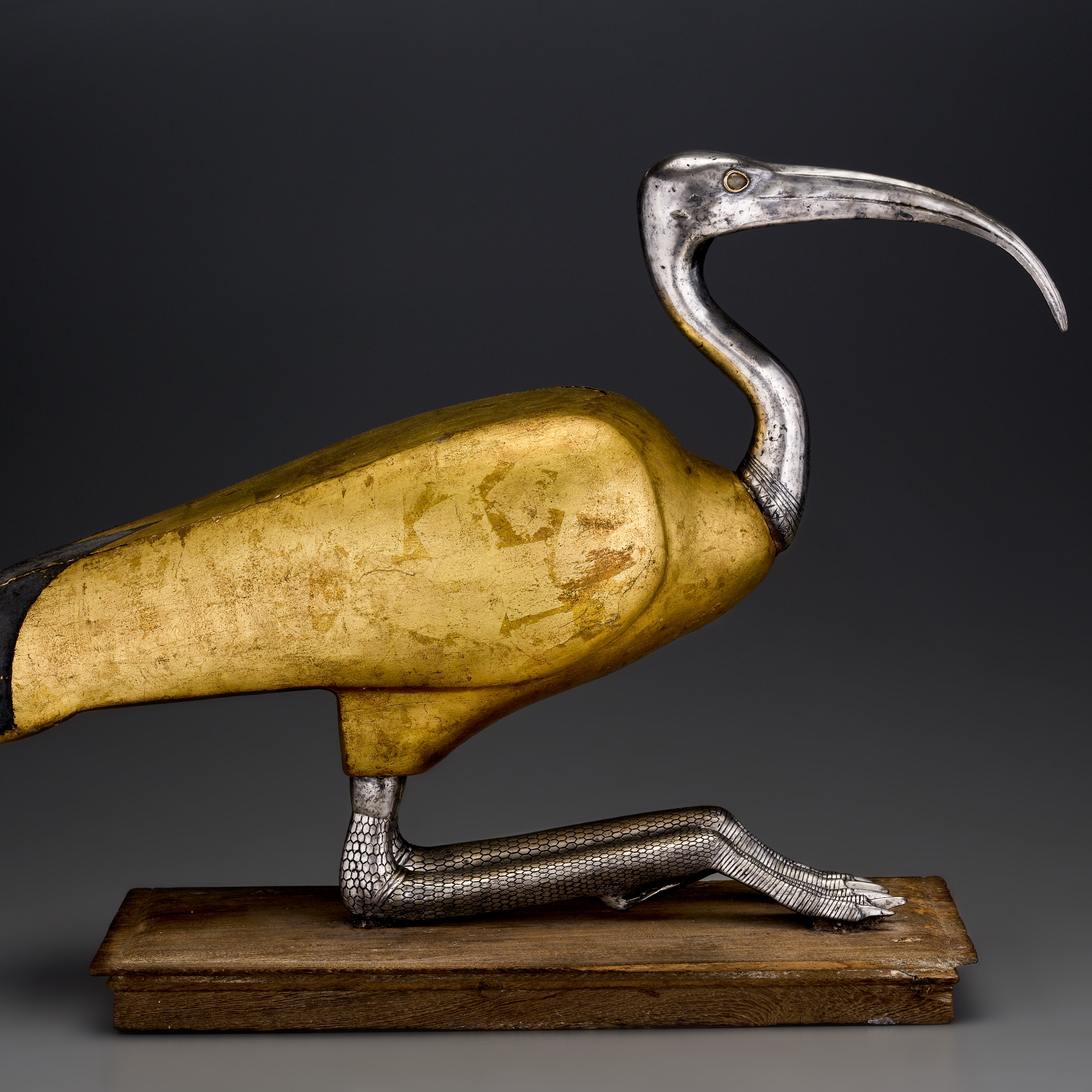 'Soulful Creatures: Animal Mummies in Ancient Egypt' at the Walters Art Museum episode artwork