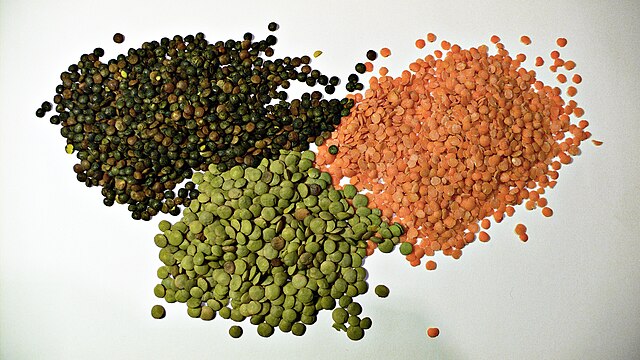 Lentils episode artwork