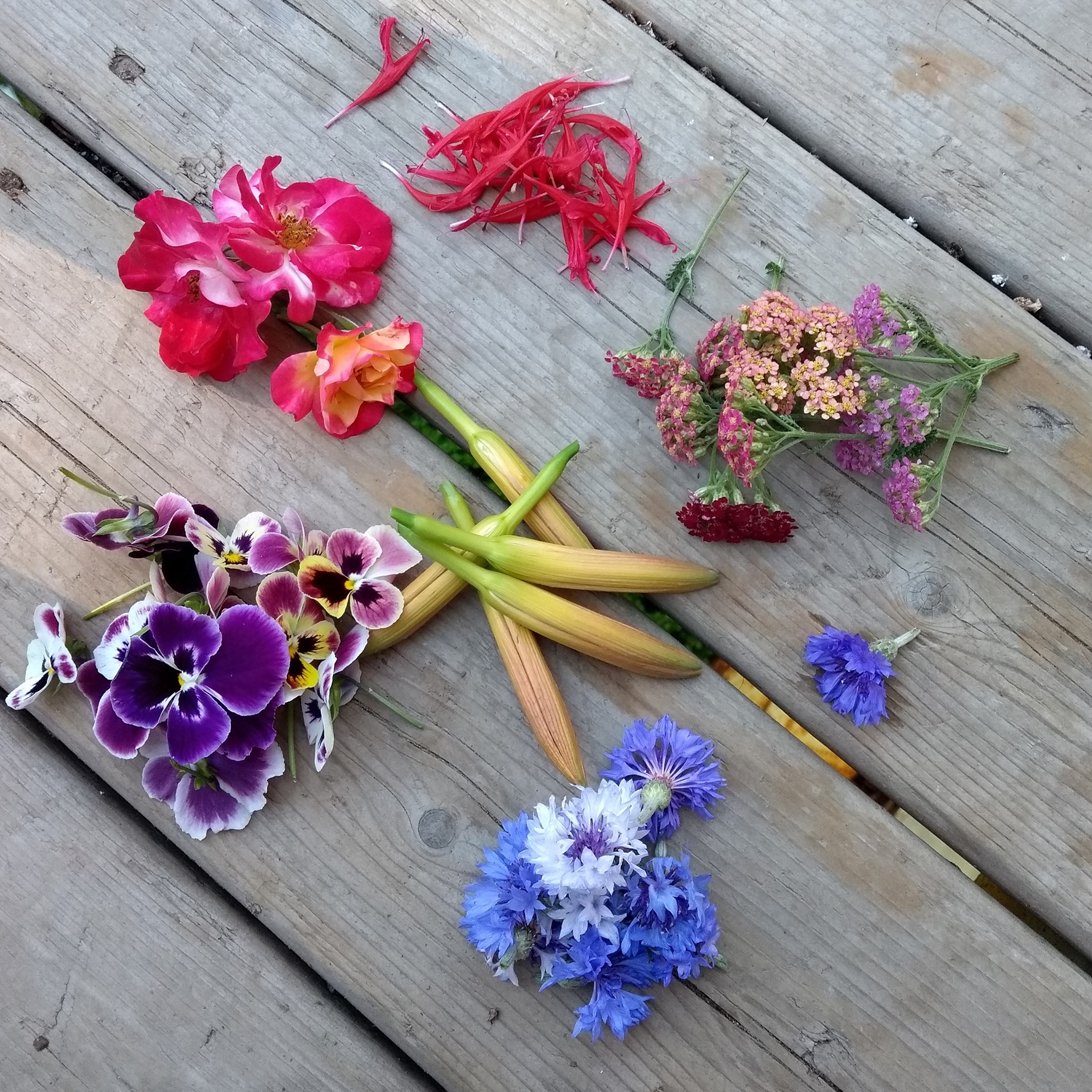 Edible Flowers episode artwork