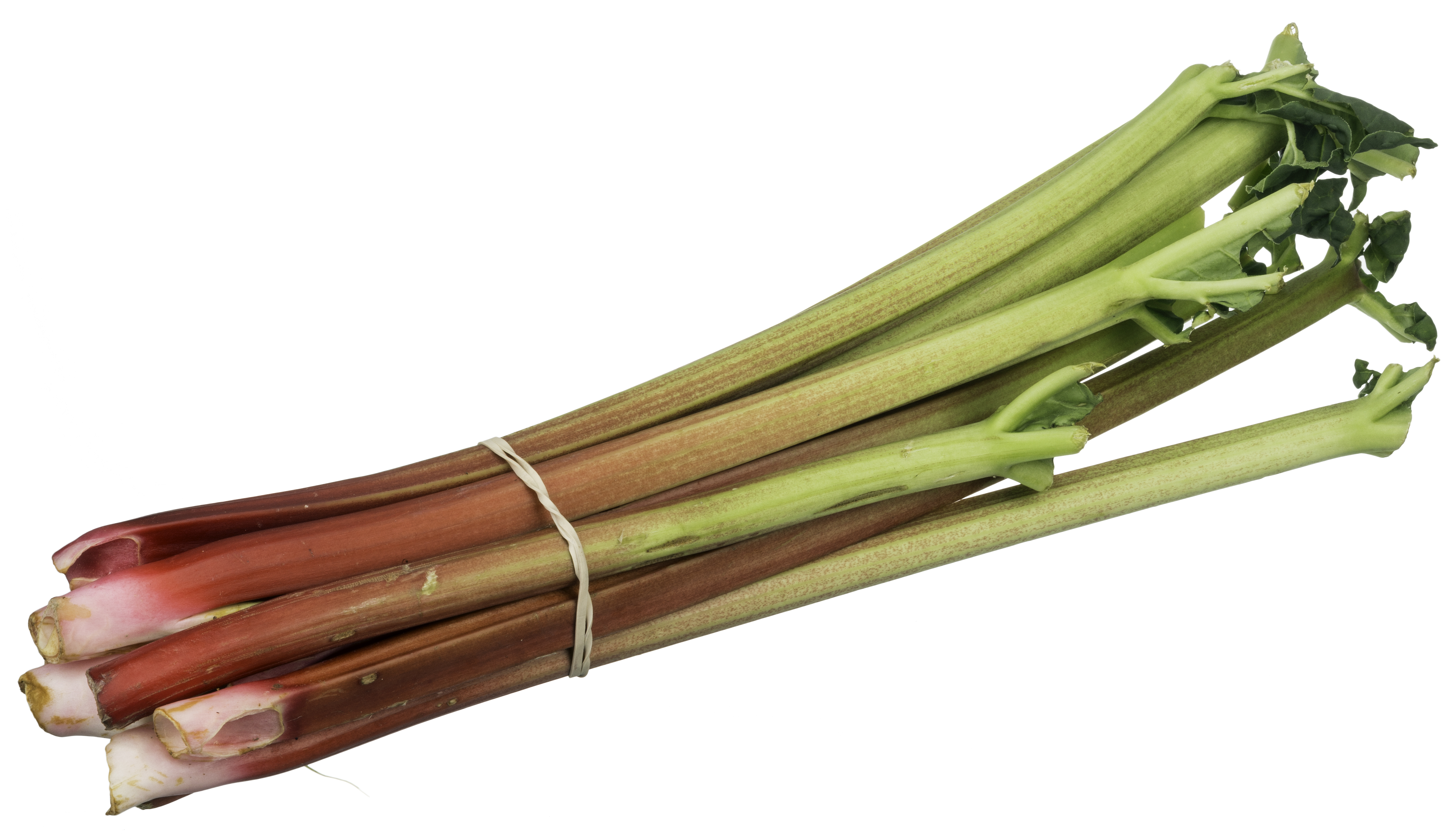 Rhubarb episode artwork