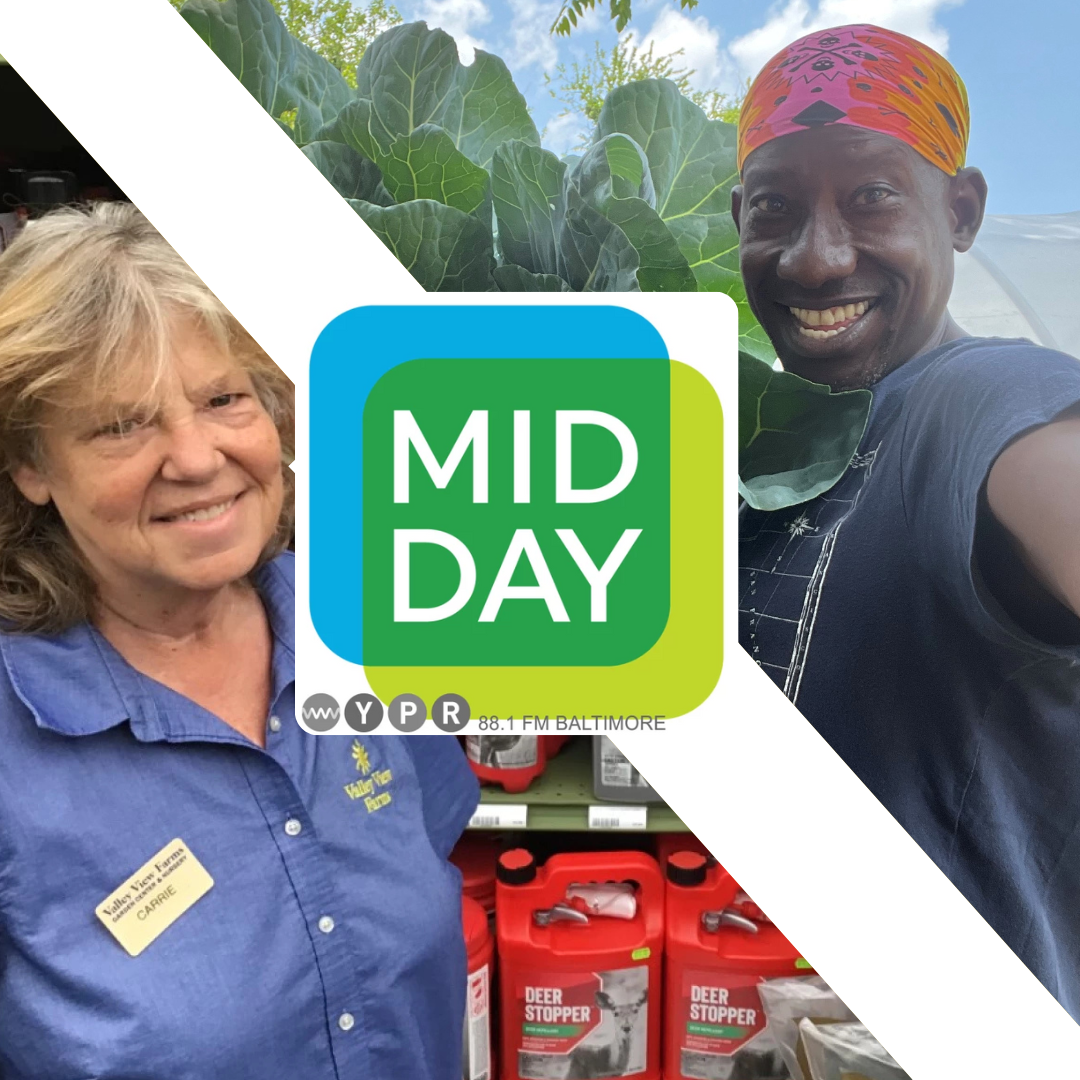 Calling all gardeners and farmers! Midday goes back to the garden episode artwork