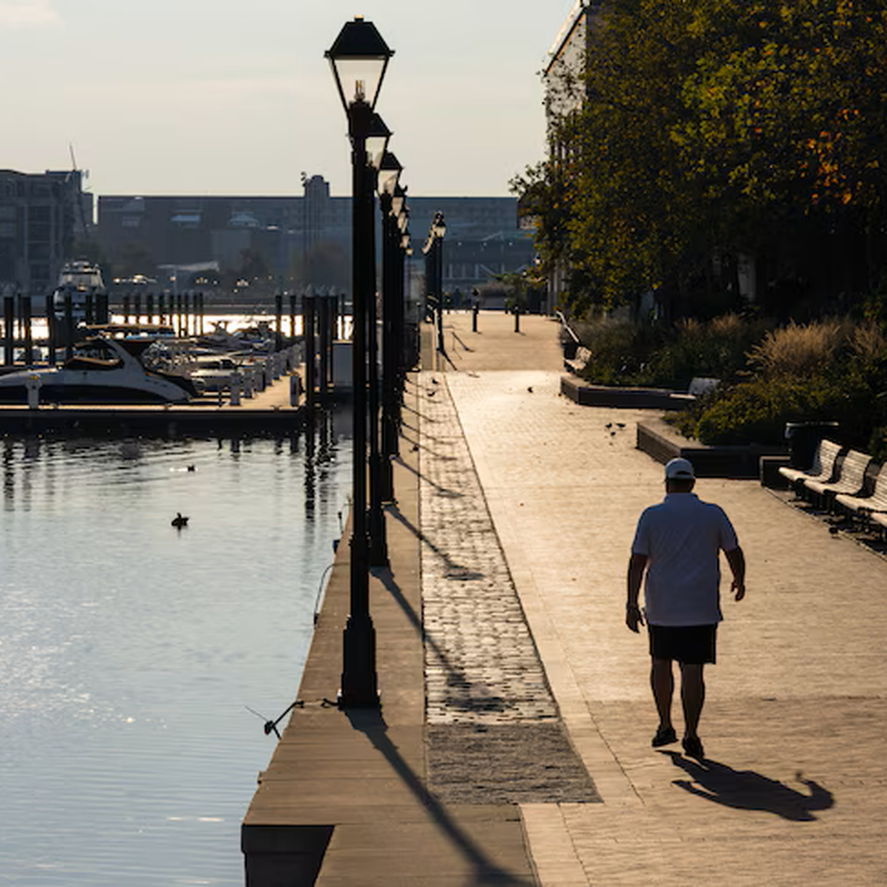 Heat scorched Maryland this week. Are you prepared for extreme weather? episode artwork