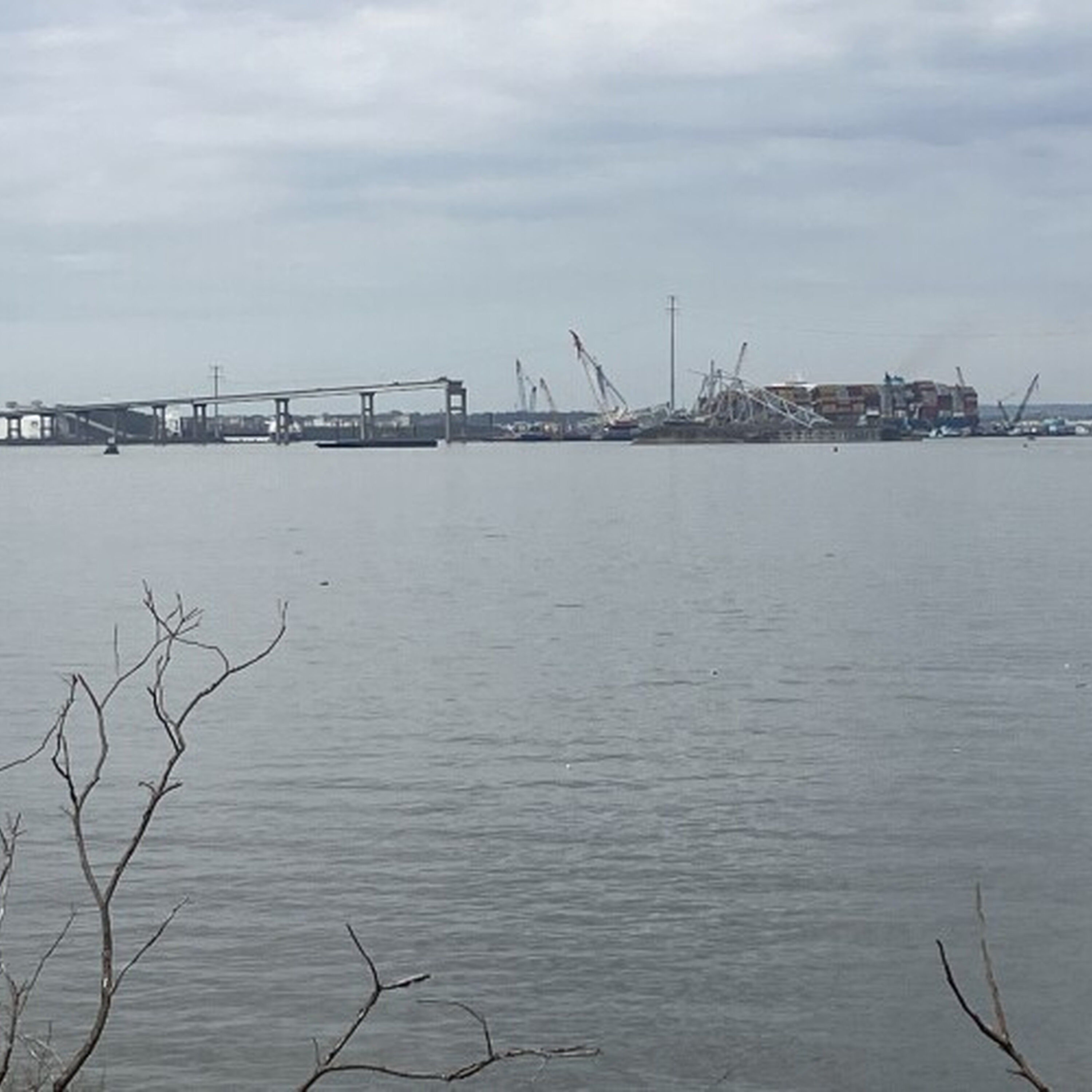 The Key Bridge collapse stopped ship traffic. But it also halted the local economy. What's next? episode artwork