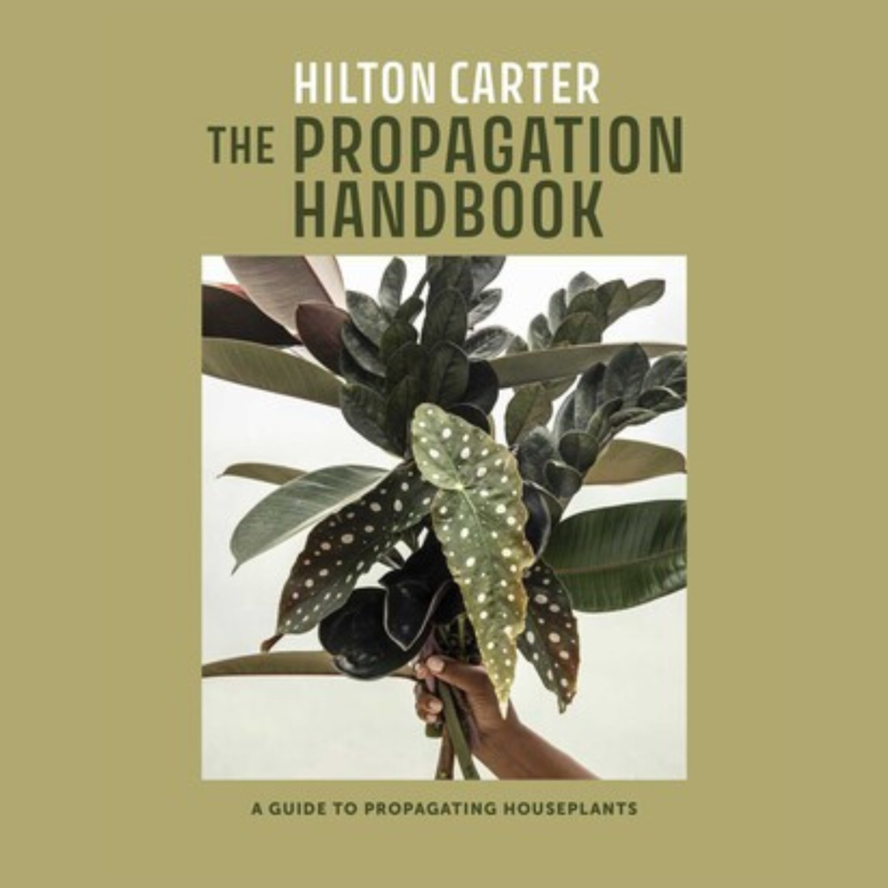 Propagating plants and harvesting happiness with Hilton Carter episode artwork
