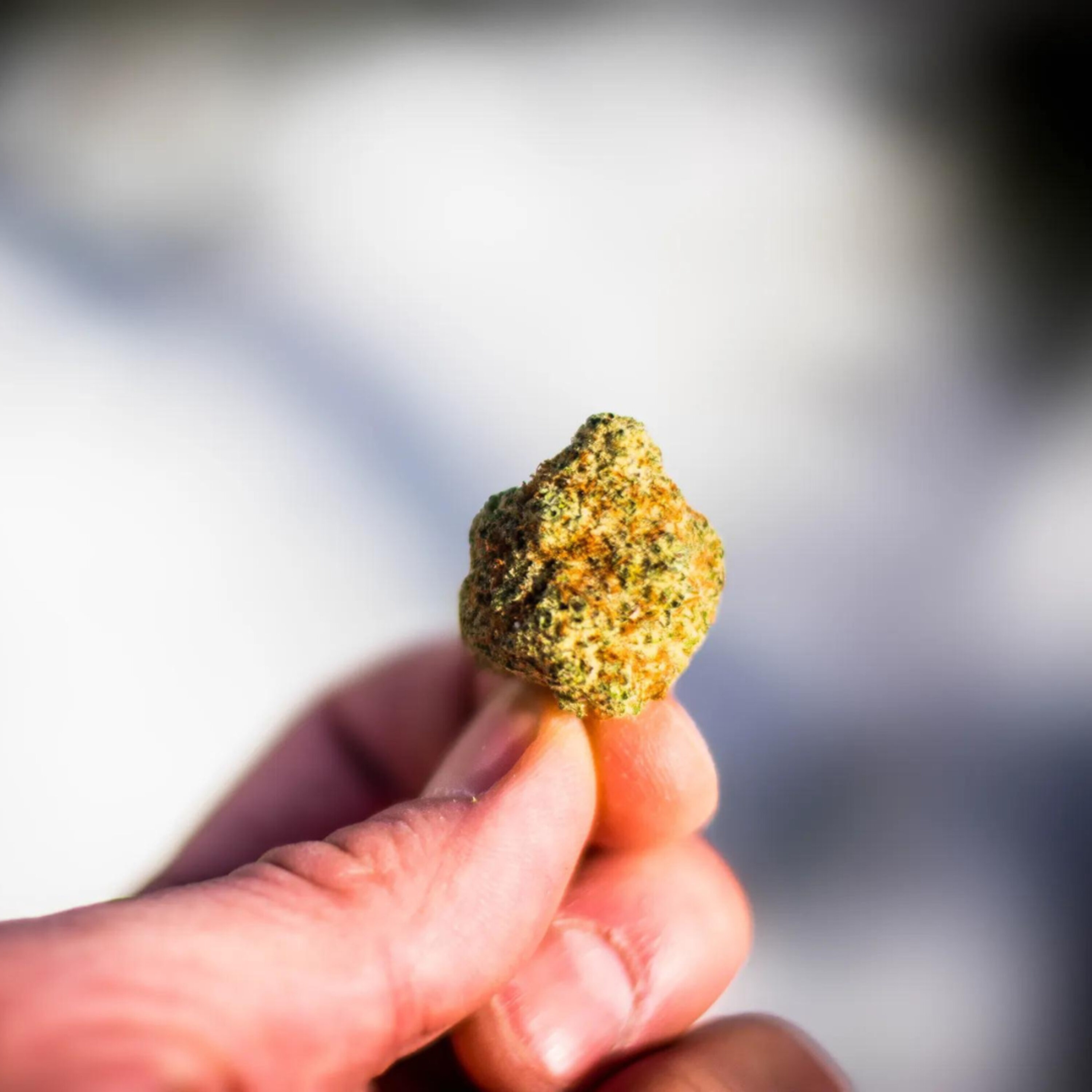 Cannabis will soon be legal in Maryland, but is it harmless? episode artwork