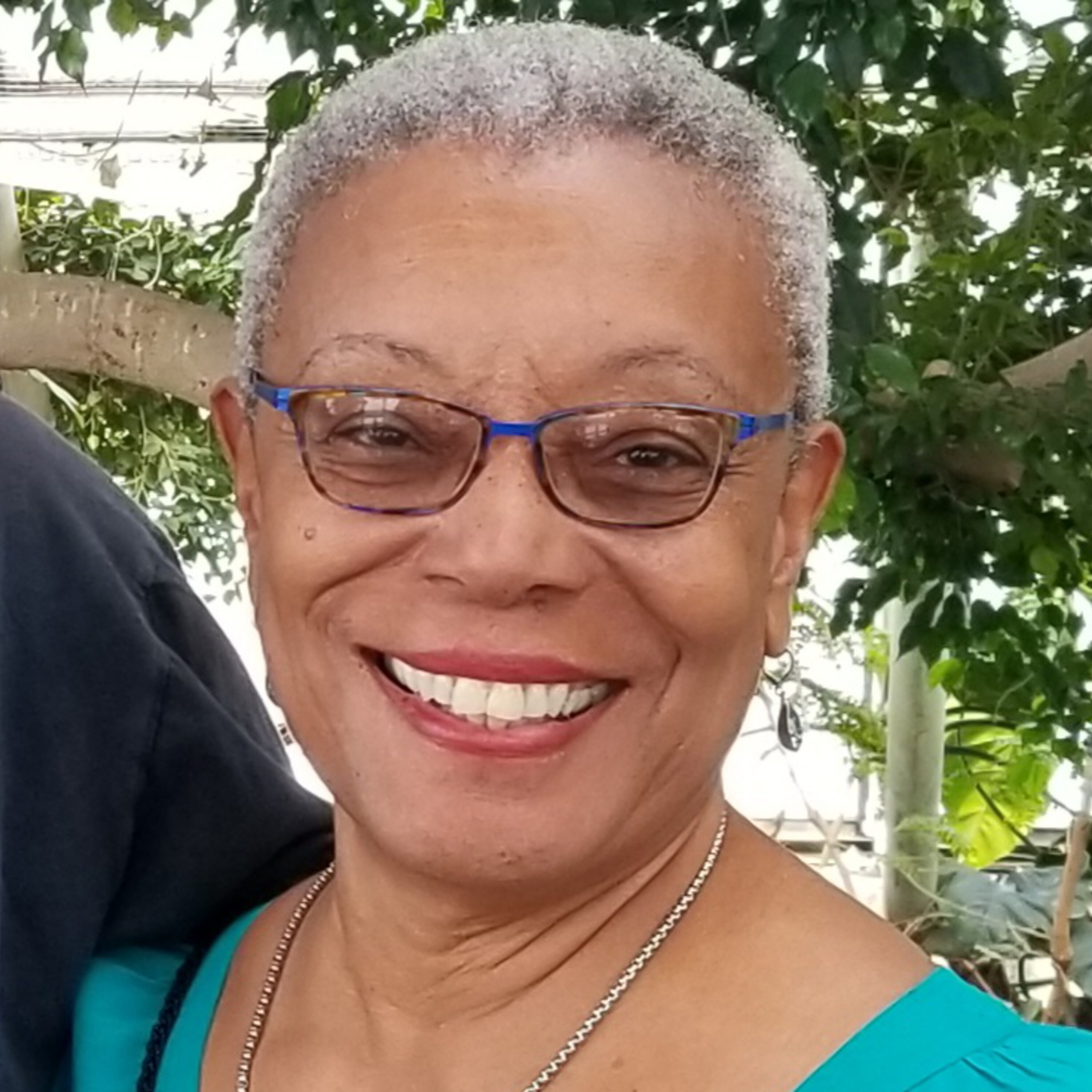 Dawne Allette: A Writer's Journey From Kids' Lit to 'Mango Samba' episode artwork