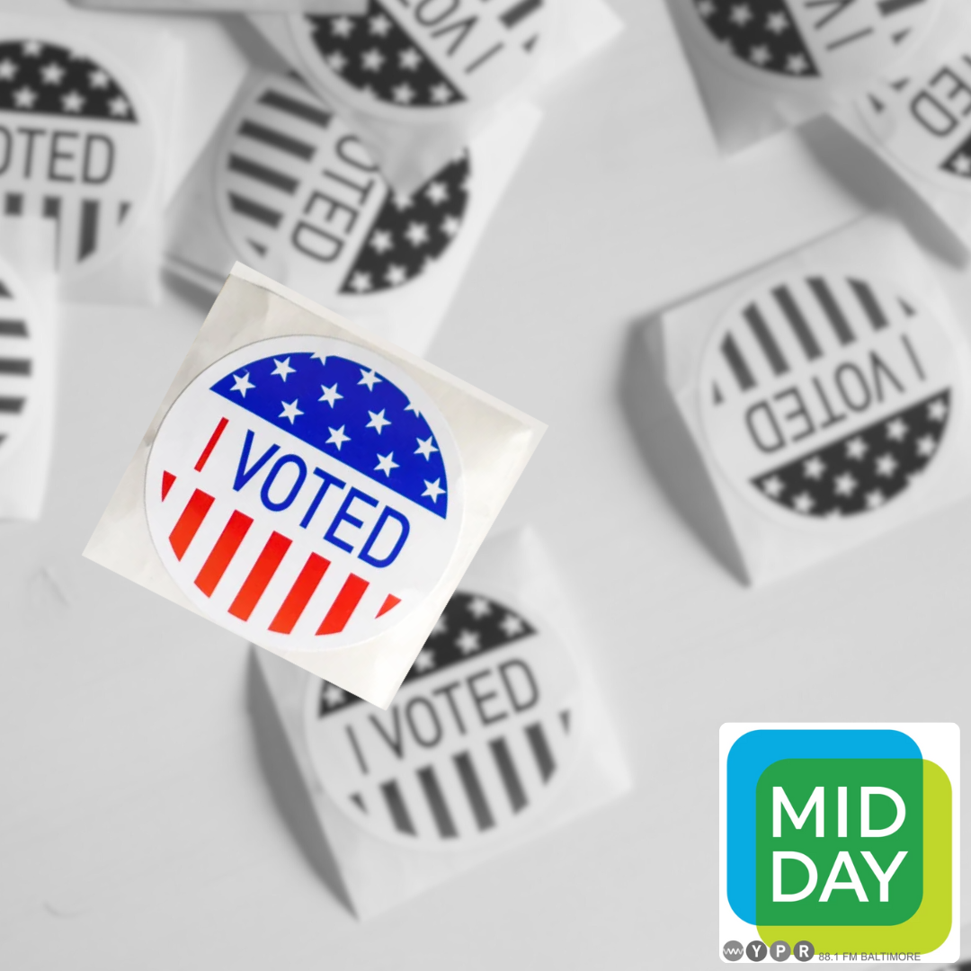 On the 60th anniversary of the Voting Rights Act, a look at its continued relevance episode artwork