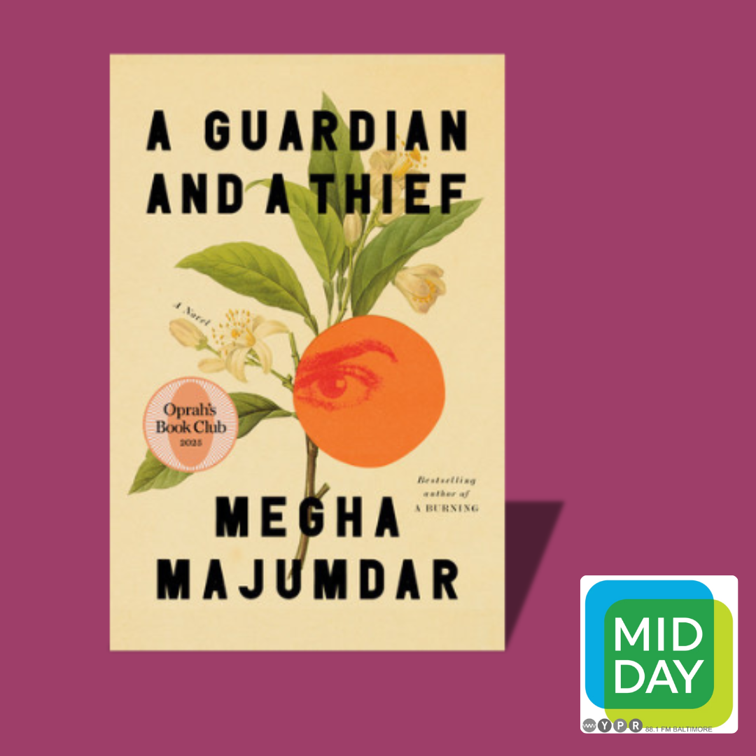 In 'A Guardian and a Thief,' author Majumdar illuminates the moral crises posed by climate change episode artwork