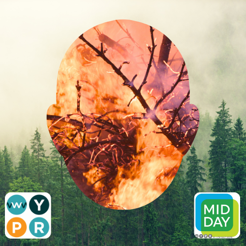 3 ways climate change is changing Maryland: floods, forest fires and anxiety. episode artwork