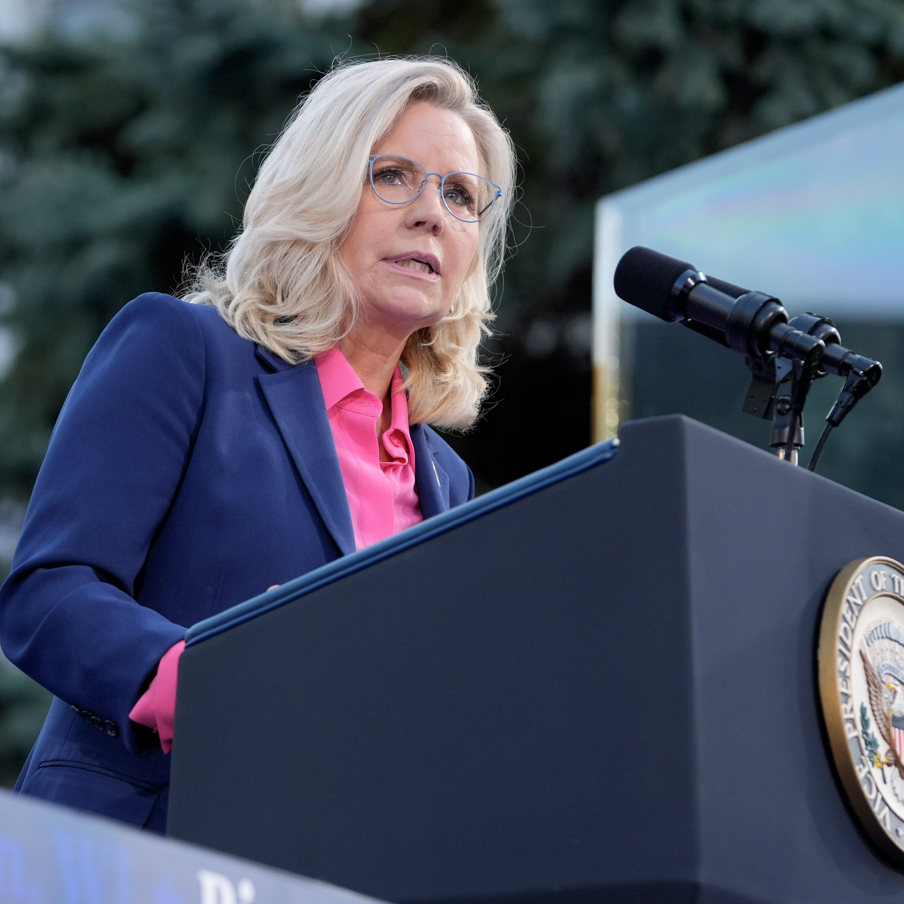 Liz Cheney on endorsing Kamala Harris, the future of the GOP episode artwork